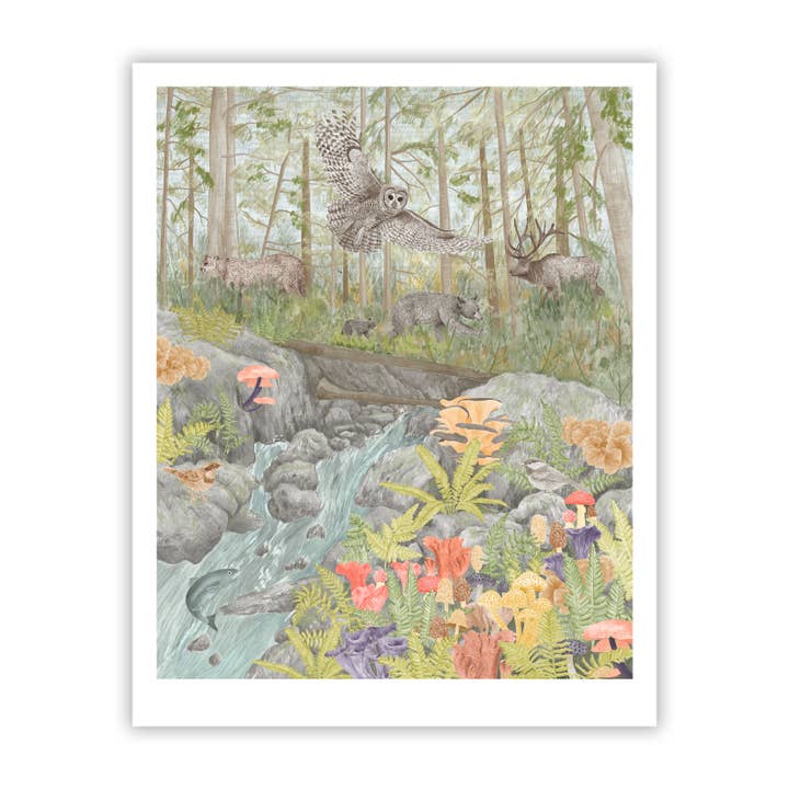 Old Growth Forest Fine Art Giclee Print for wholesale by Stacy Hsu Design & Illustration