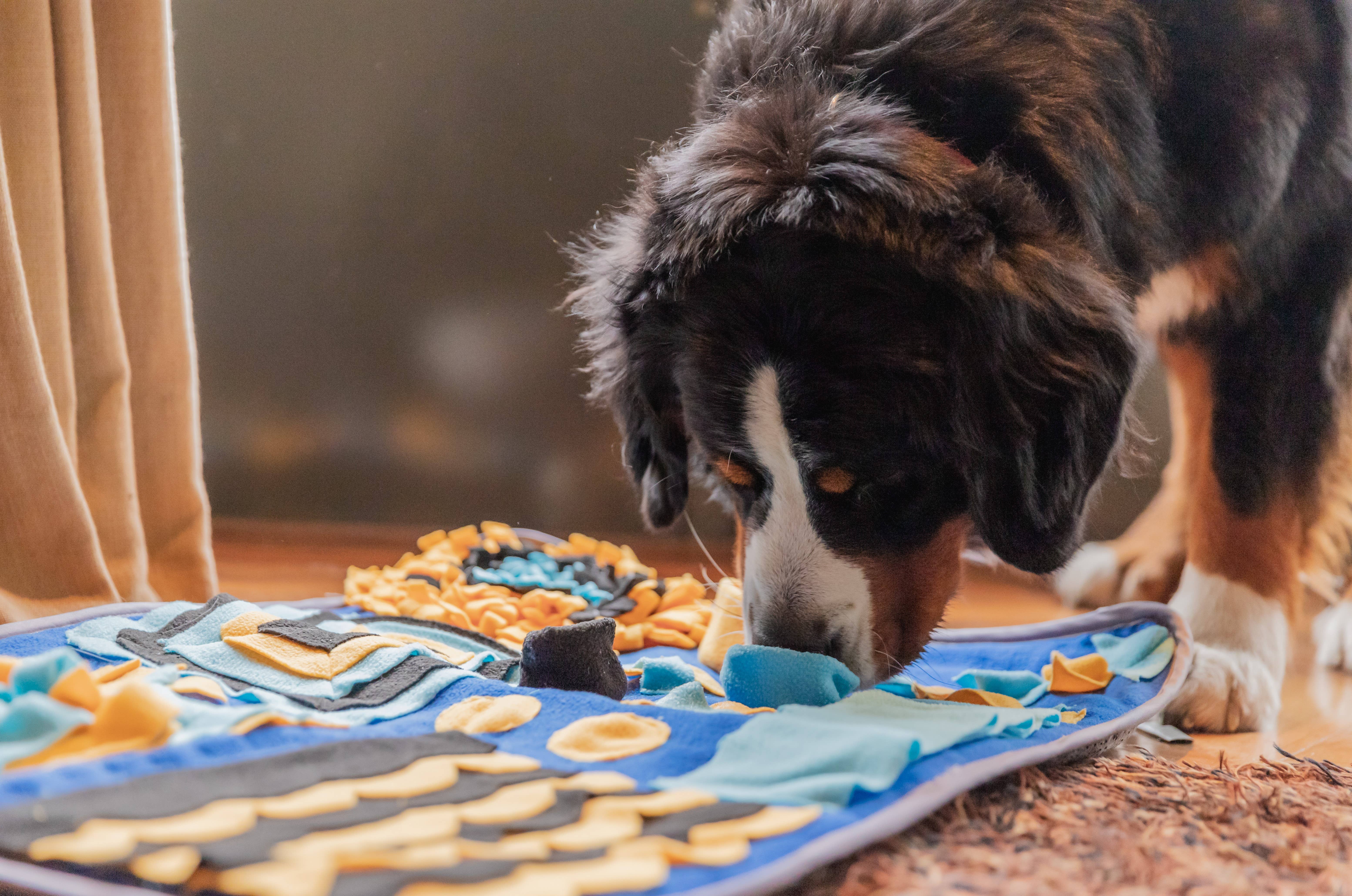 Snuffies - Wholesale Pet Mat - Dog - Bowie5