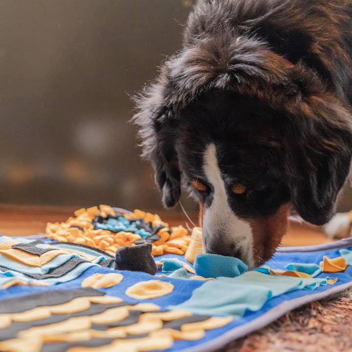 Snuffies - Wholesale Pet Mat - Dog - Bowie5