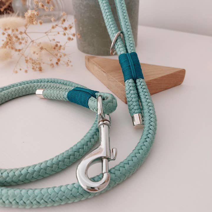 Truffe & Flair - Wholesale Pet Leash - Dog - Dog leash - Paracord - Blue3
