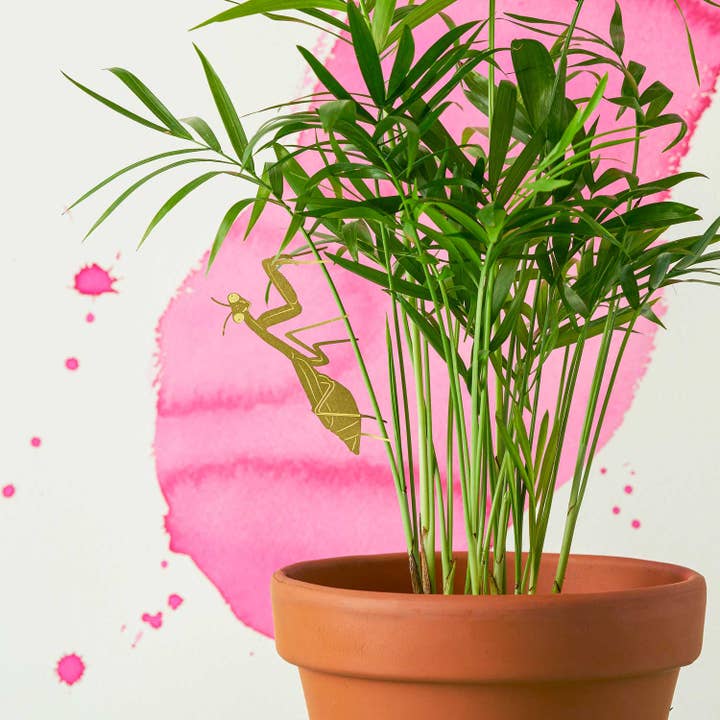 Another Studio - Wholesale Ornament - Plant Animal - Praying Mantis, insect plant marker decoration