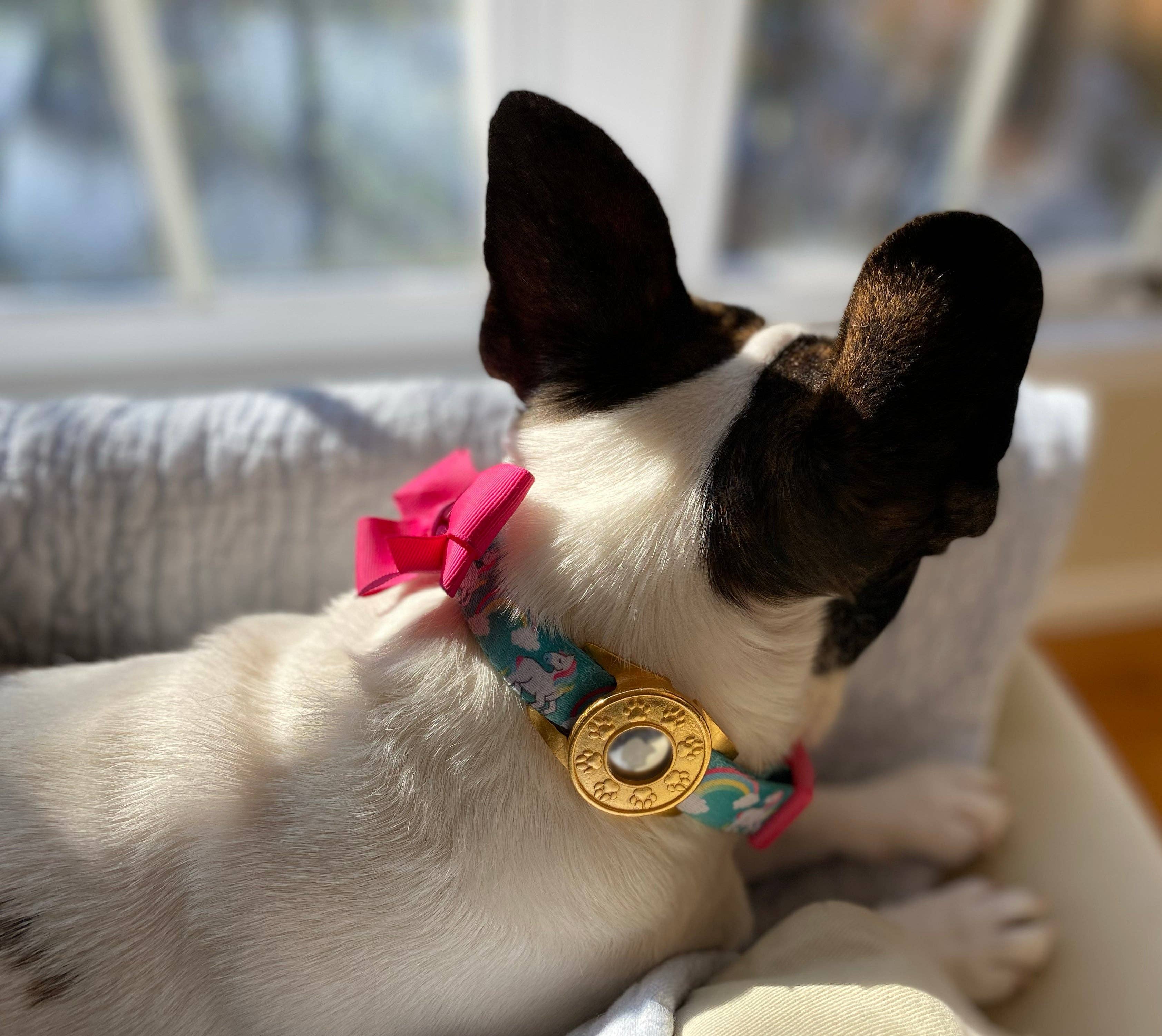 Norma Jean Designs - Wholesale Pet Collar Charm - Cat/Dog - Pet Collar Attachment for AirTags, Available in Gold or Silver, Heart or Paw4