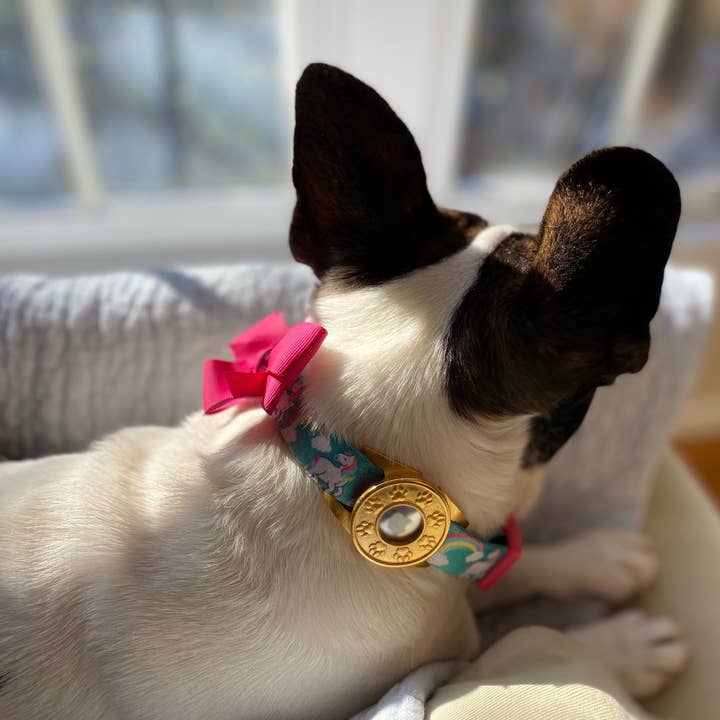 Norma Jean Designs - Wholesale Pet Collar Charm - Cat/Dog - Pet Collar Attachment for AirTags, Available in Gold or Silver, Heart or Paw4