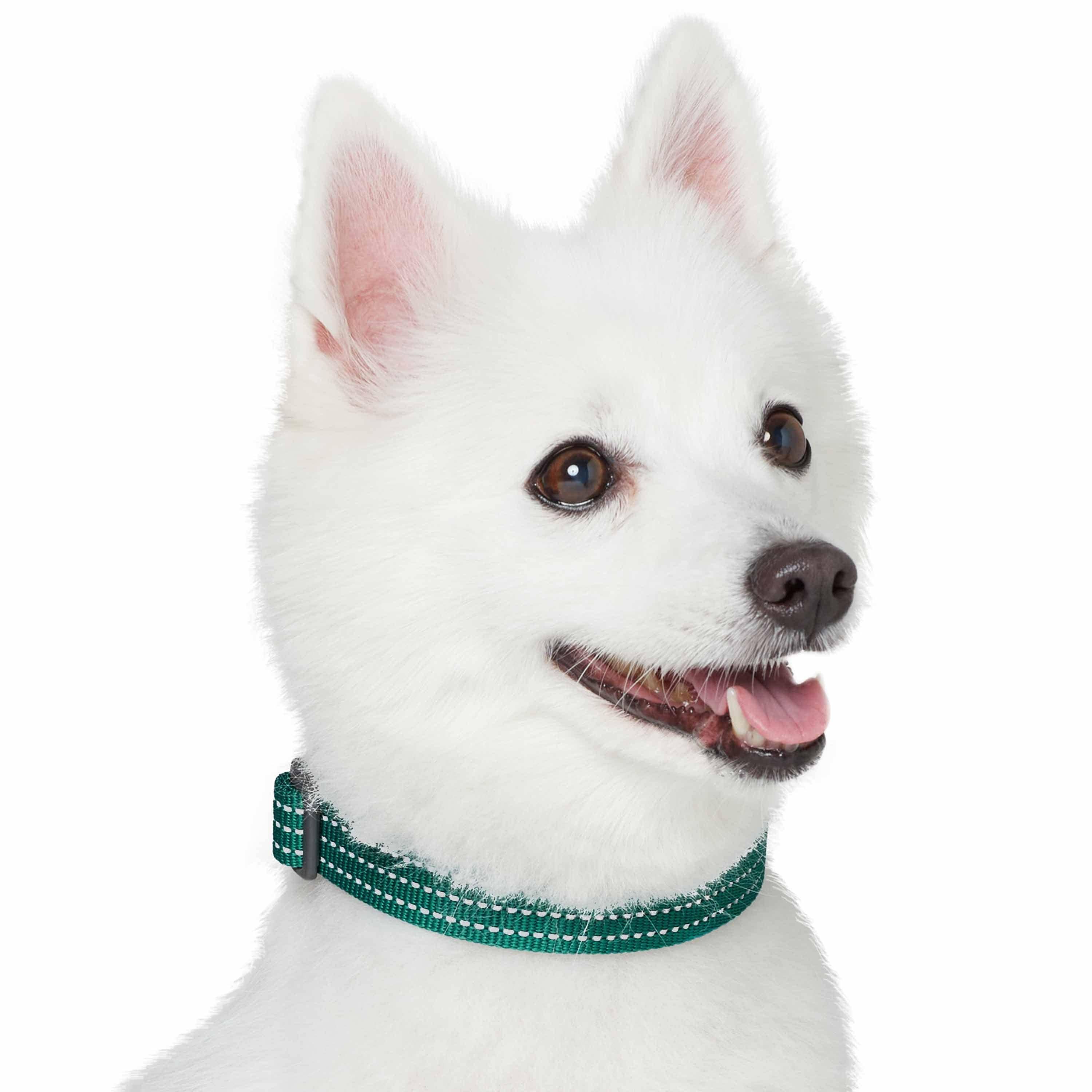 Blueberry Pet - Venta al por mayor Collar - Perros - Collar reflectante para perros Better Basic en 8 colores31