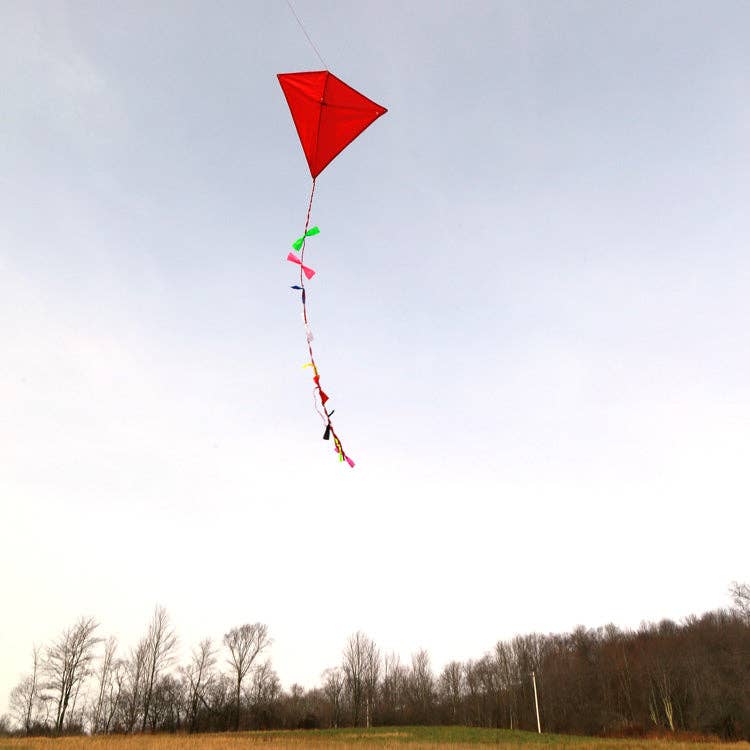 Kikkerland Design Inc - Wholesale Sporting Accessories - Huckleberry Red Kite2