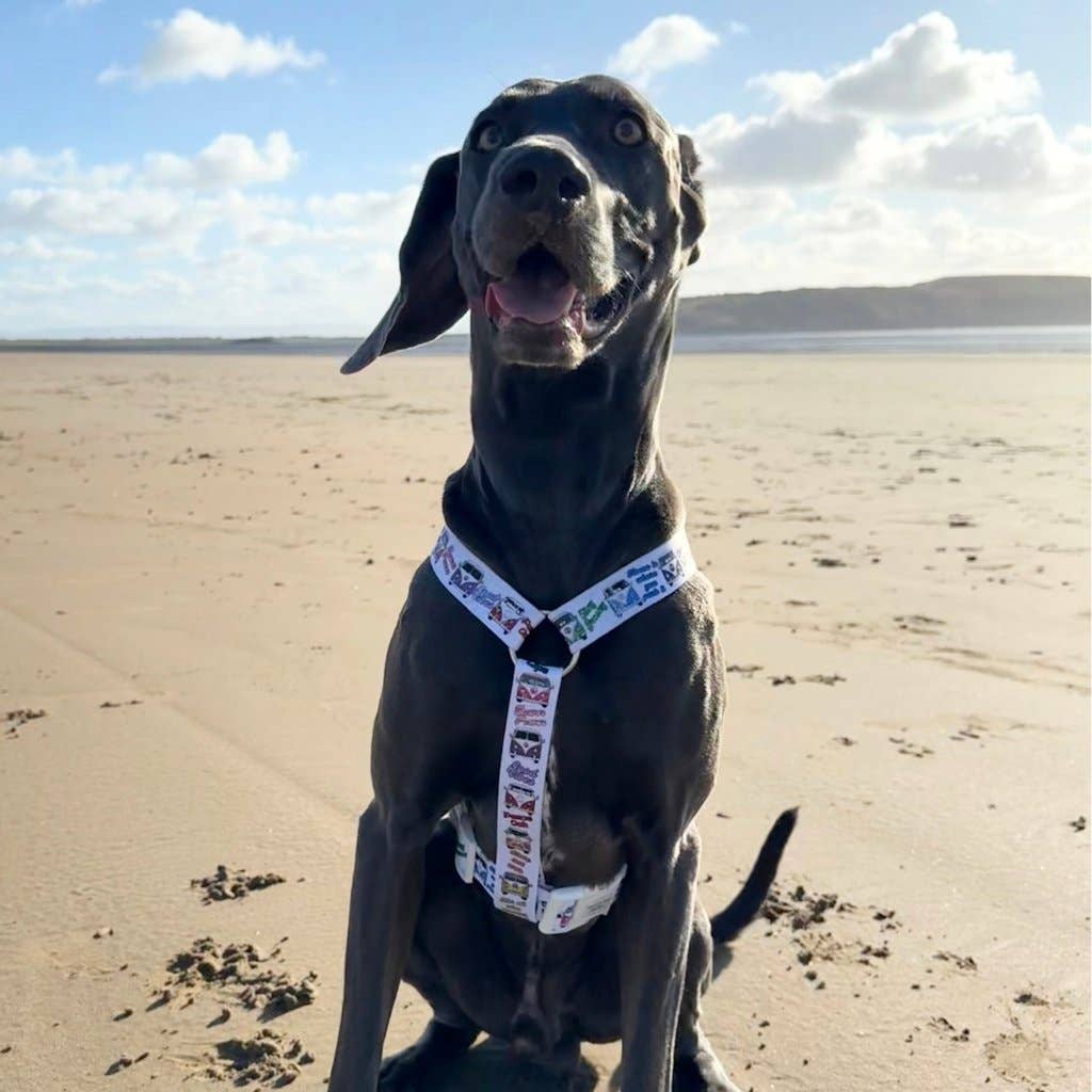 Mylo and Mas Boutique - Wholesale Pet Harness - Dog - Dog Strap Harness - Hippie Van Life1