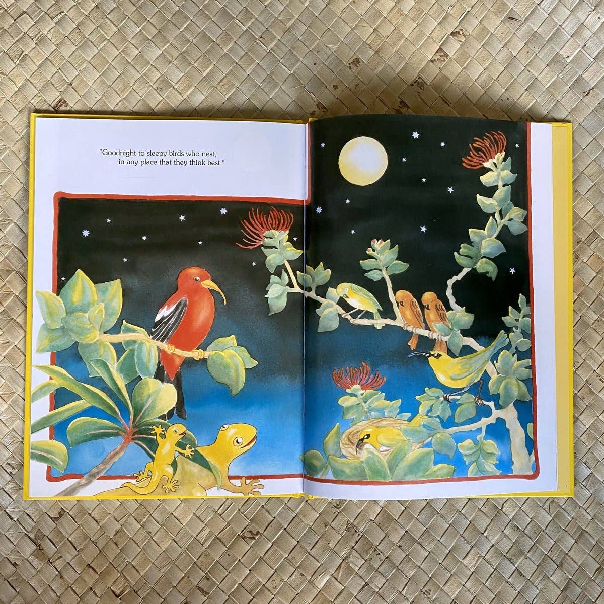 Hawaiian Children's Books - Wholesale Baby & Toddler Book (0-2) - The Goodnight Gecko 4