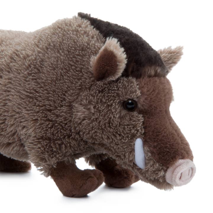 The Petting Zoo - Wholesale Stuffed/Plush Toy - Kids & Baby - Wild Onez Boar / Warthog Medium 12" (33cm)1