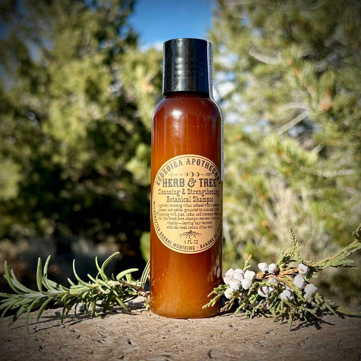 Herb & Tree Botanical Clarifying & Strengthening Shampoo for wholesale by Ecozoica Apothecary