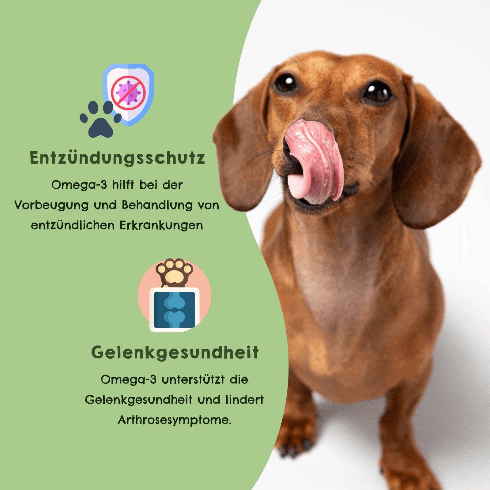 HAPPY JACKY - Wholesale Pet Food - Dog - Hemp oil2