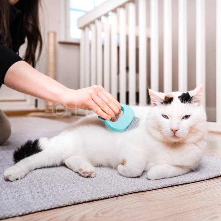 Leo's Paw - Wholesale Pet Grooming Aid - Dog - Cat Hair Removal Massaging Shell Comb14