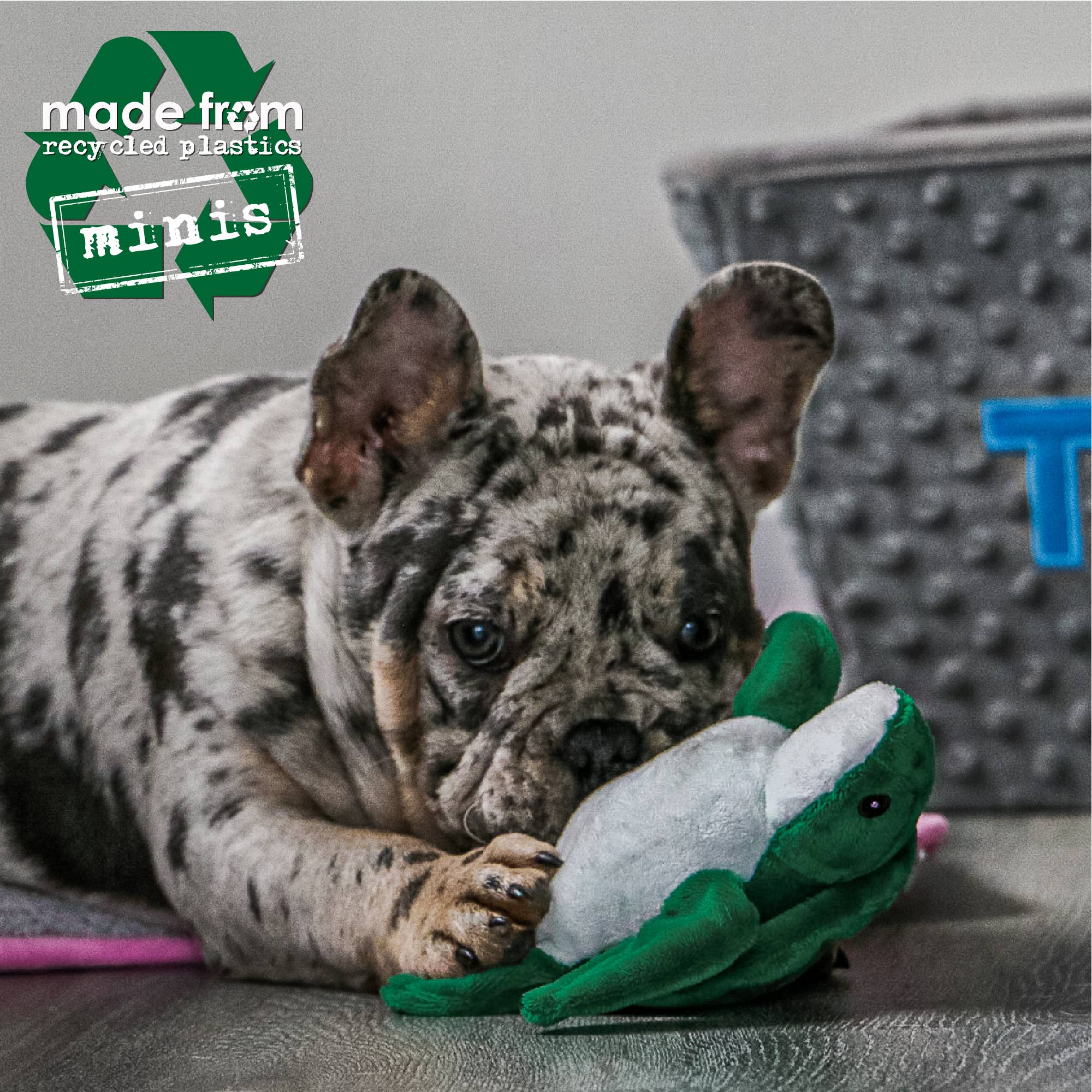 Ancol Pet Products Ltd – wholesale Pet plush toy – Dog – Made From Mini Turtle Seal And Seahorse4