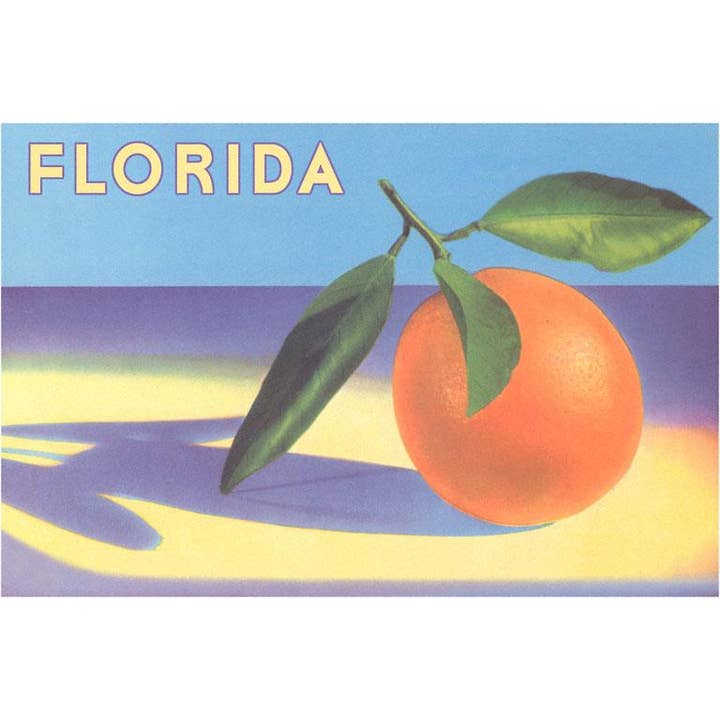 Carte de vœux FL-1000 Orange de Floride pour la vente par Found Image Press