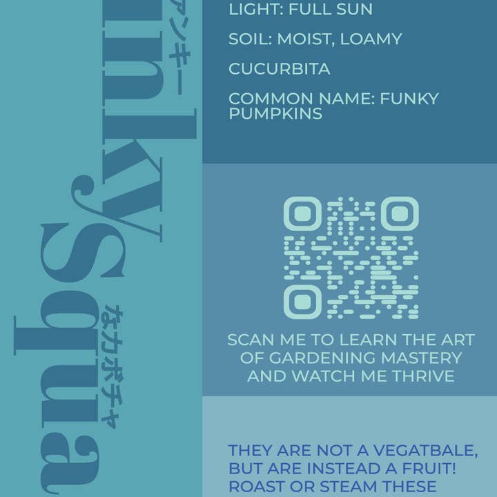 Chive UK – wholesale Plant seeds – Funky Seeds Packets - 48 Assorted7