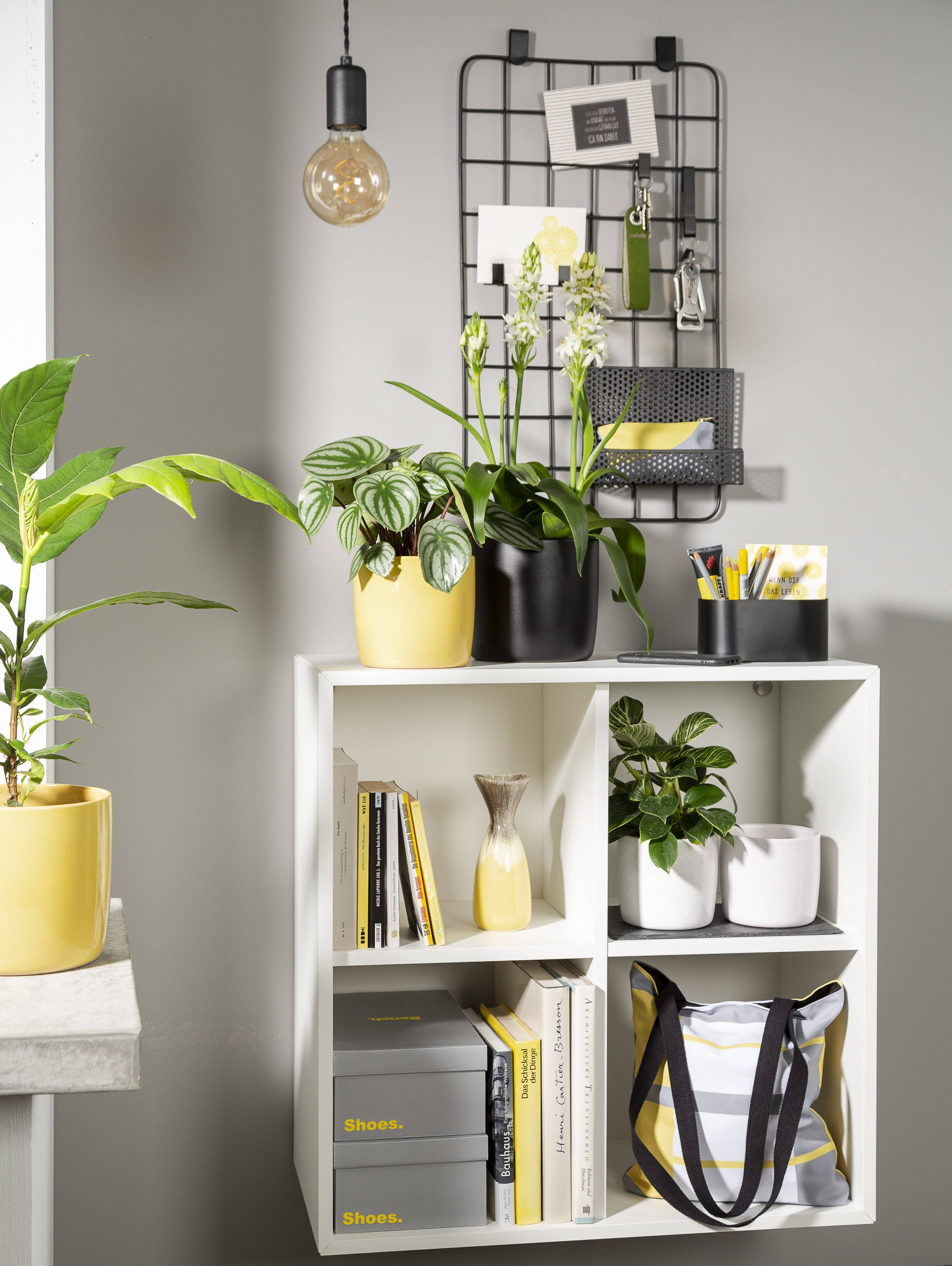 Scheurich - Wholesale Plant Pot - Set of 2 Solido 900 ceramic planters1