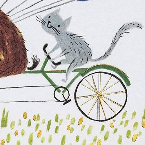 NIQUEA.D - Wholesale Birthday Card - Tandem Bicycle Birthday Card3