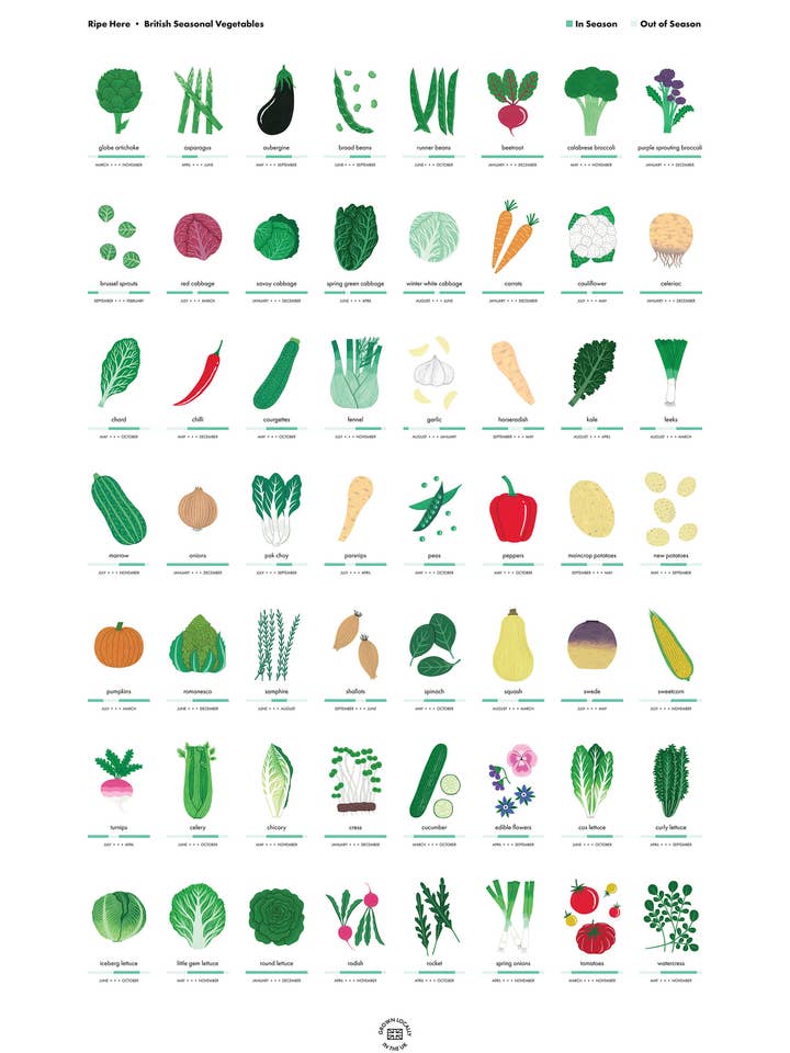 Seasonal fruit and vegetable art print, A2, illustrated food for wholesale by Holly Maguire