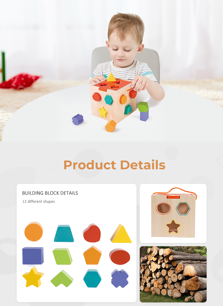 VIGOR - Wholesale Wood Toy - Kids - Classic learning toys shapes puzzle wooden educational toy8