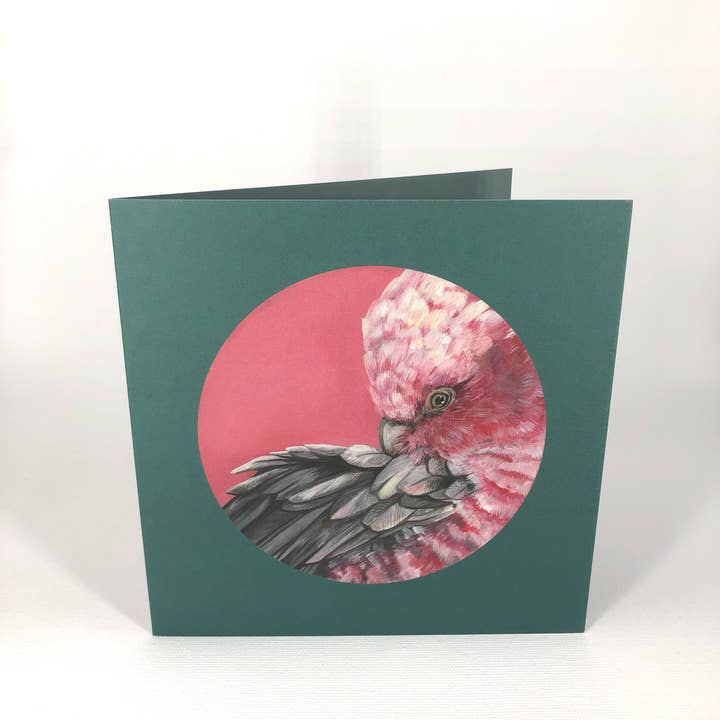 Cartão de saudação rosa Galah Art por atacado de Diedododa
