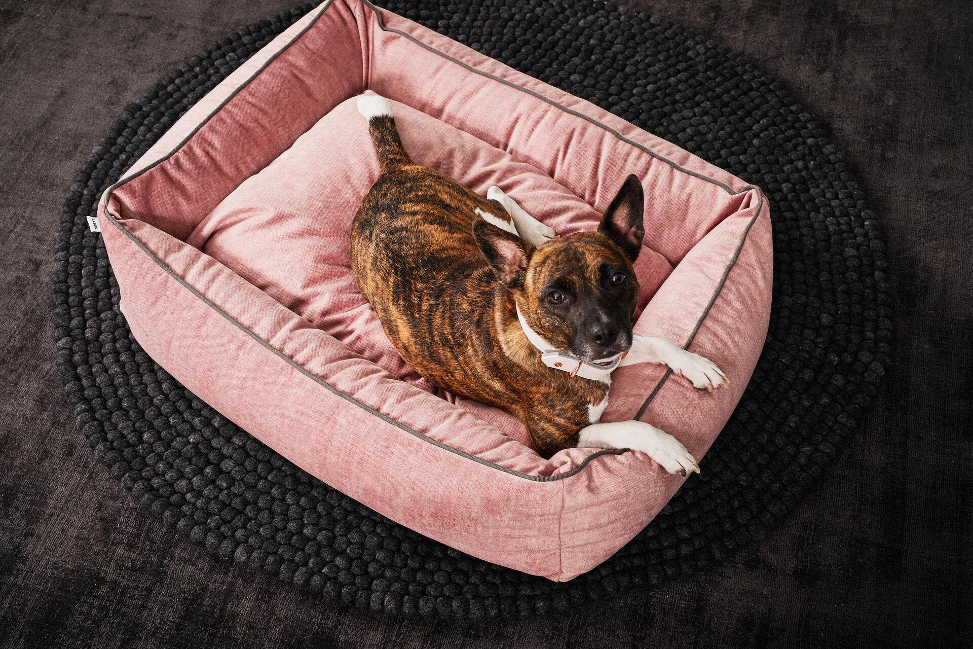 LABONI - Volentis GmbH - Wholesale Pet Bed - Dog - ORTHO PET BED GLAM15
