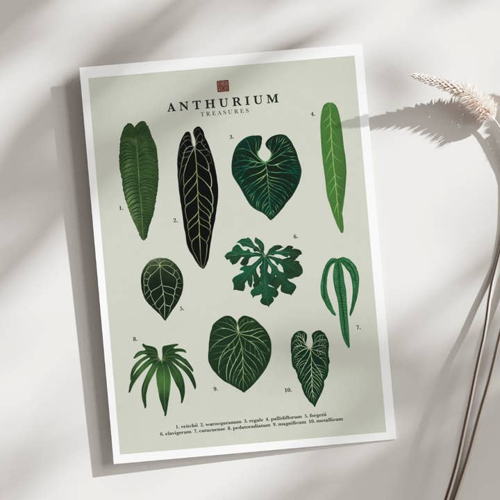 Anthurium | Konstaffisch för wholesale av itsjunli