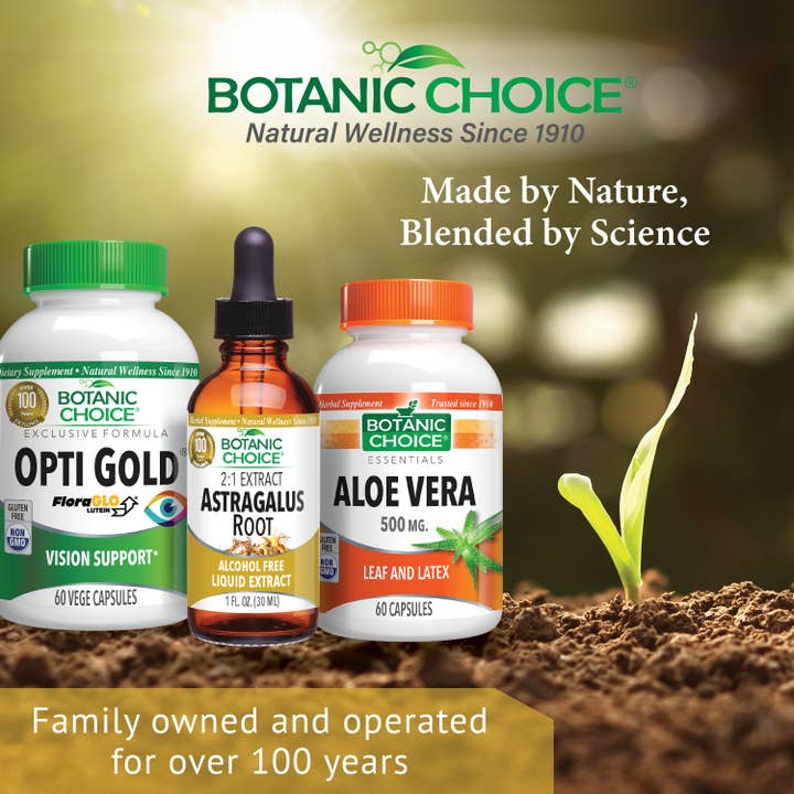 Botanic Choice - Wholesale Essential Oil - Botanic Choice Astragalus Alcohol Free Liquid Extract - 1 oz
