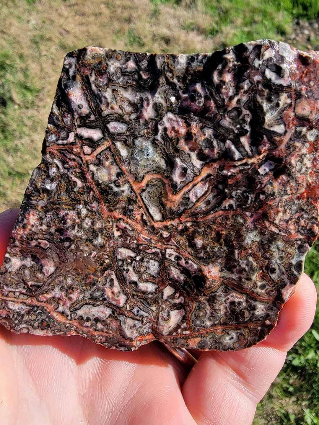 Lapidary Central – Pedra/cristal espiritual por atacado – Amostra Aleatória de Riólito Pele de Leopardo Mexicano em Bruto!4