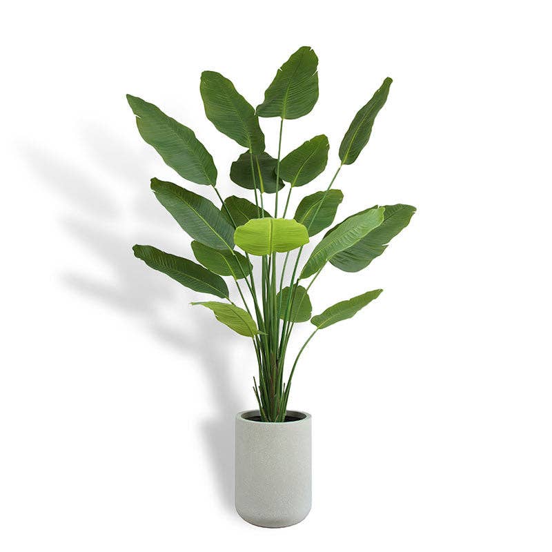 CG Hunter - Wholesale Artificial Plant - 8' Bird of Paradise Tree in Modern Gray Planter0