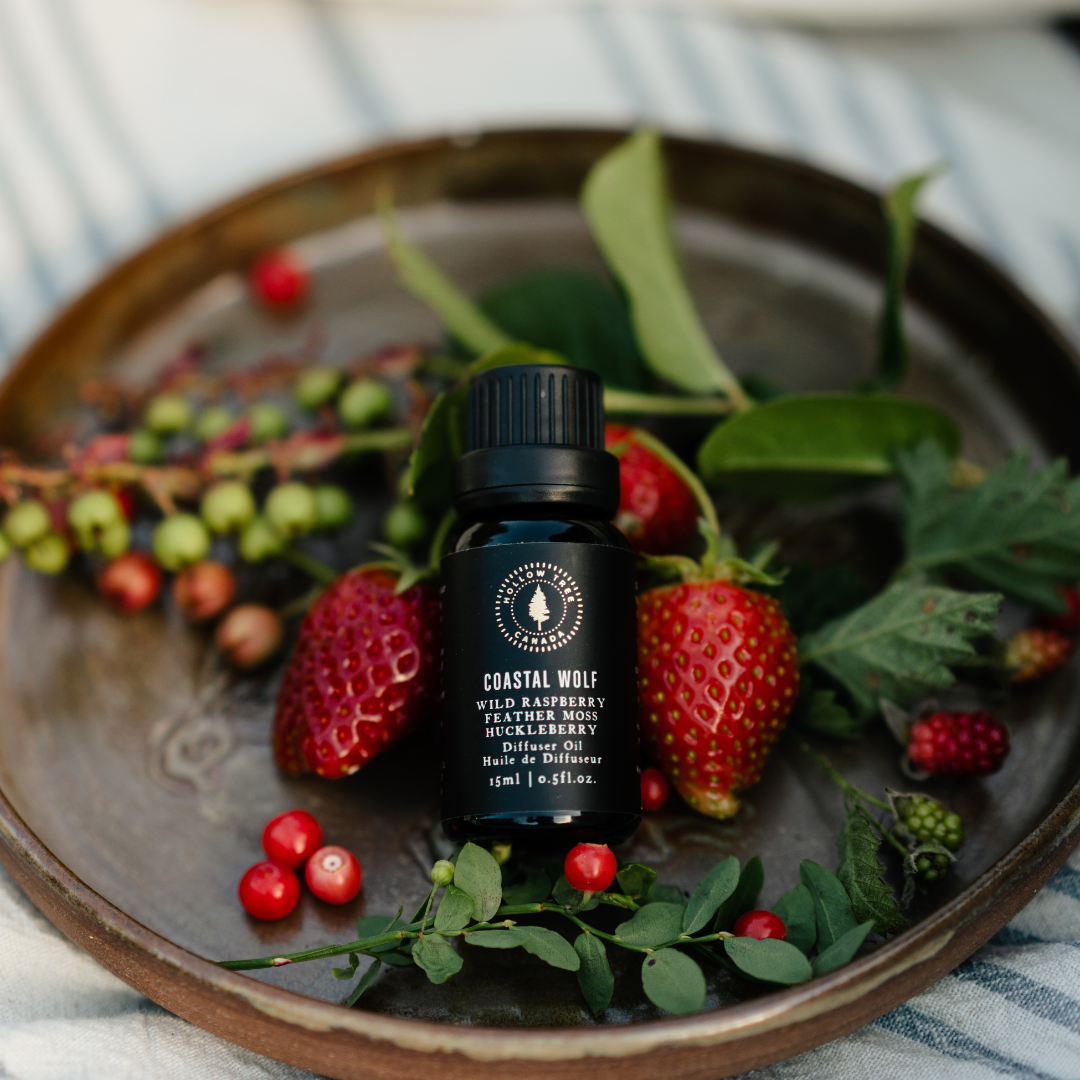 Hollow Tree Candle Co - Wholesale Diffuser Fragrance Refill - Coastal Wolf - Diffuser Oil - 15ml 0