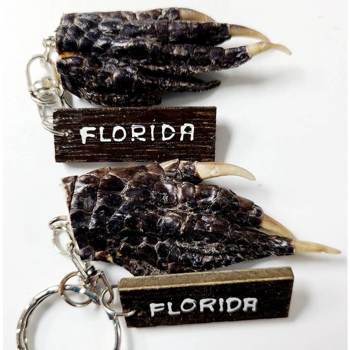 GATOR FOOT KEYCHAIN FL for wholesale by Darlene's Shells