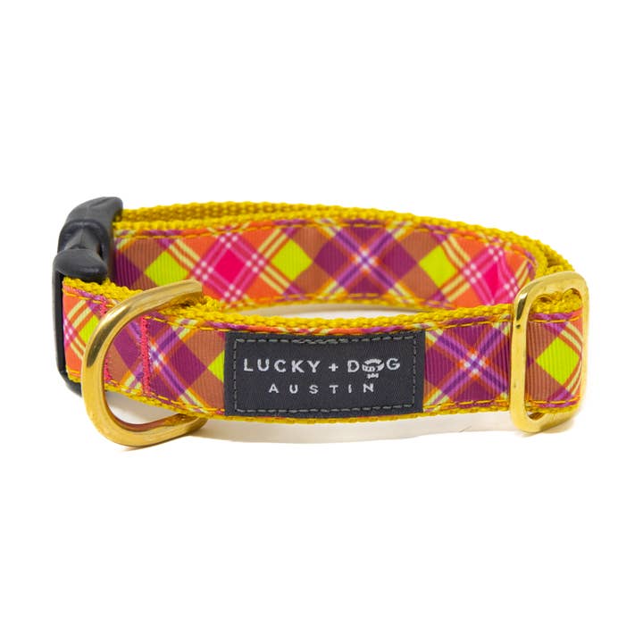 Activewear - Firefly Nights for wholesale by LUCKY + DOG