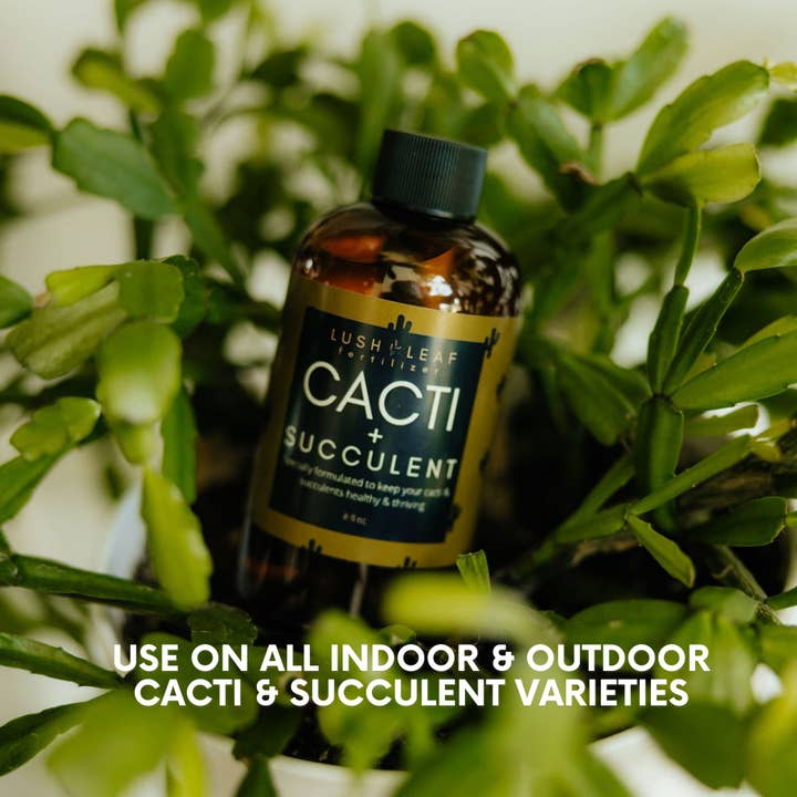 Lush Leaf - Wholesale Fertilizer - Cacti & Succulent Plant Food2