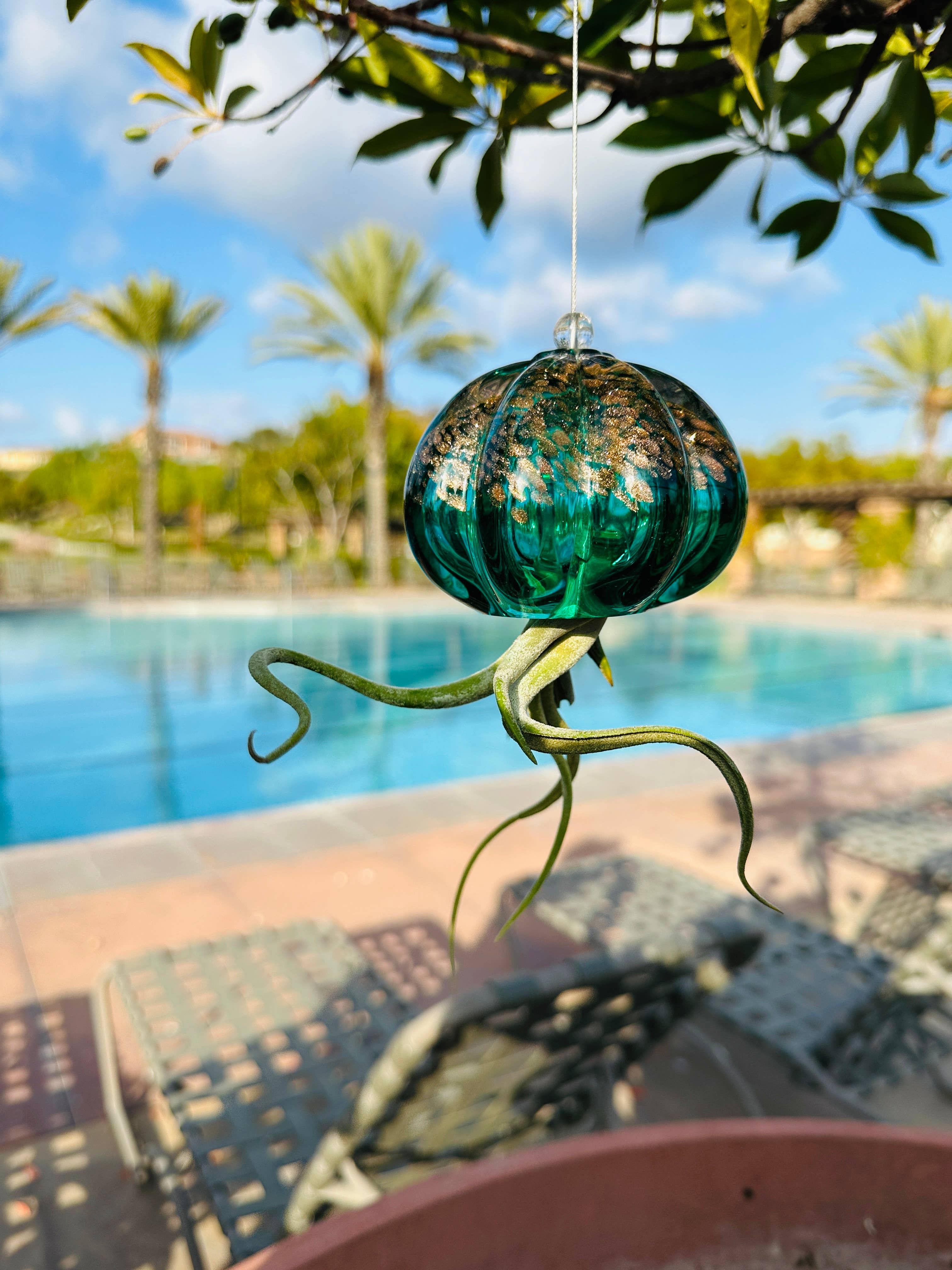 ApricotMint - Wholesale Hanging Planter - Cauliflower Jellyfish Air Plant Holder (plant not included)11