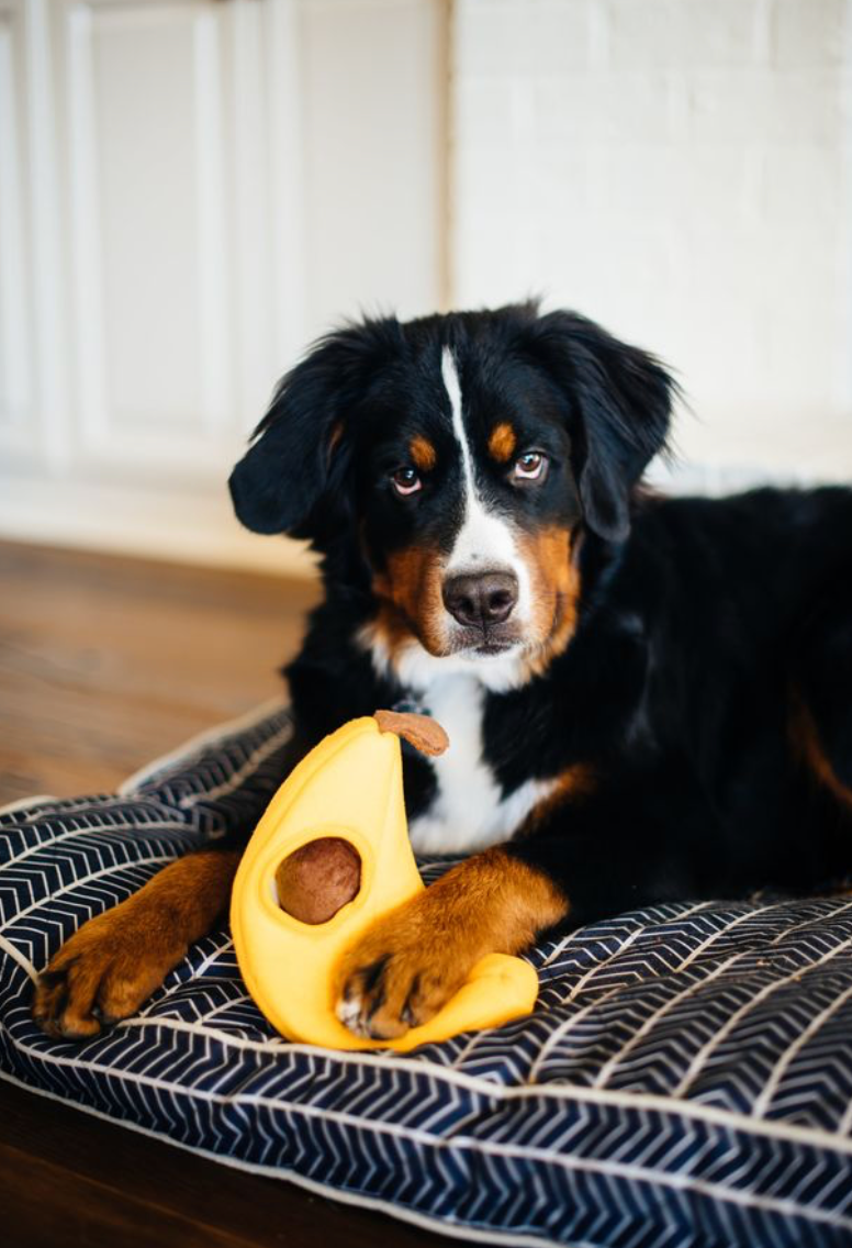 ZippyPaws - Vendita all'ingrosso Peluche - Cani - Zippy Burrow - Scimmietta e banana - Gioco per cani5