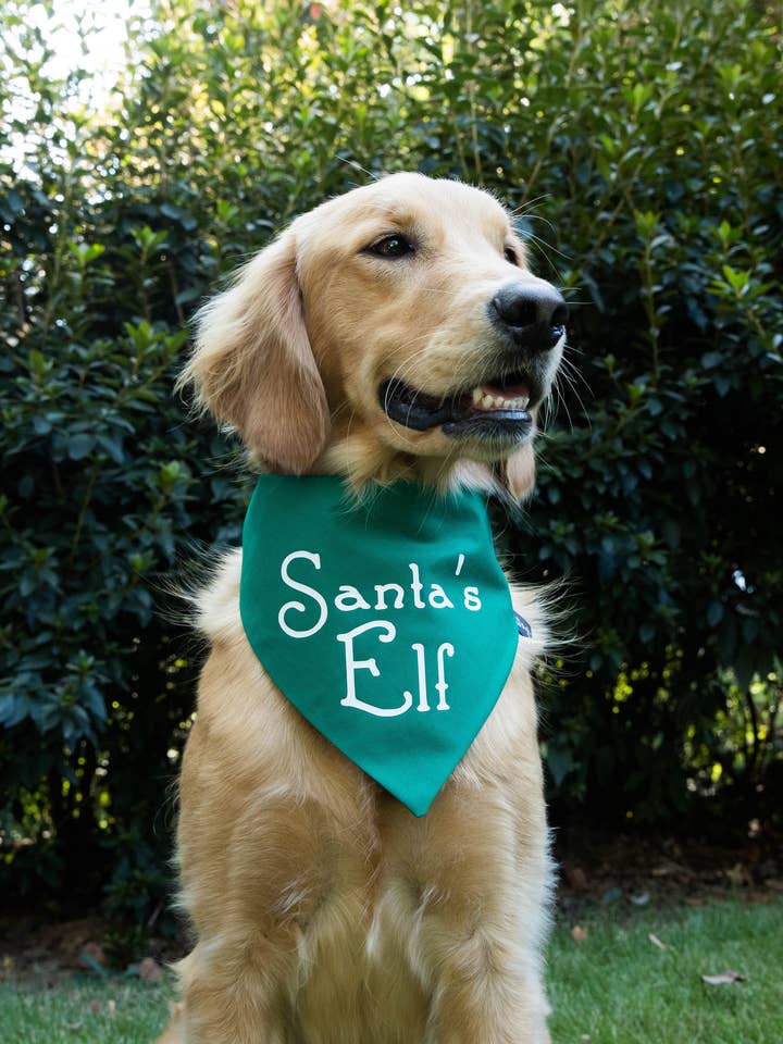 Santa's Elf Hond Bandana - Kerst hond Bandana voor wholesale door Tails Up, Pup