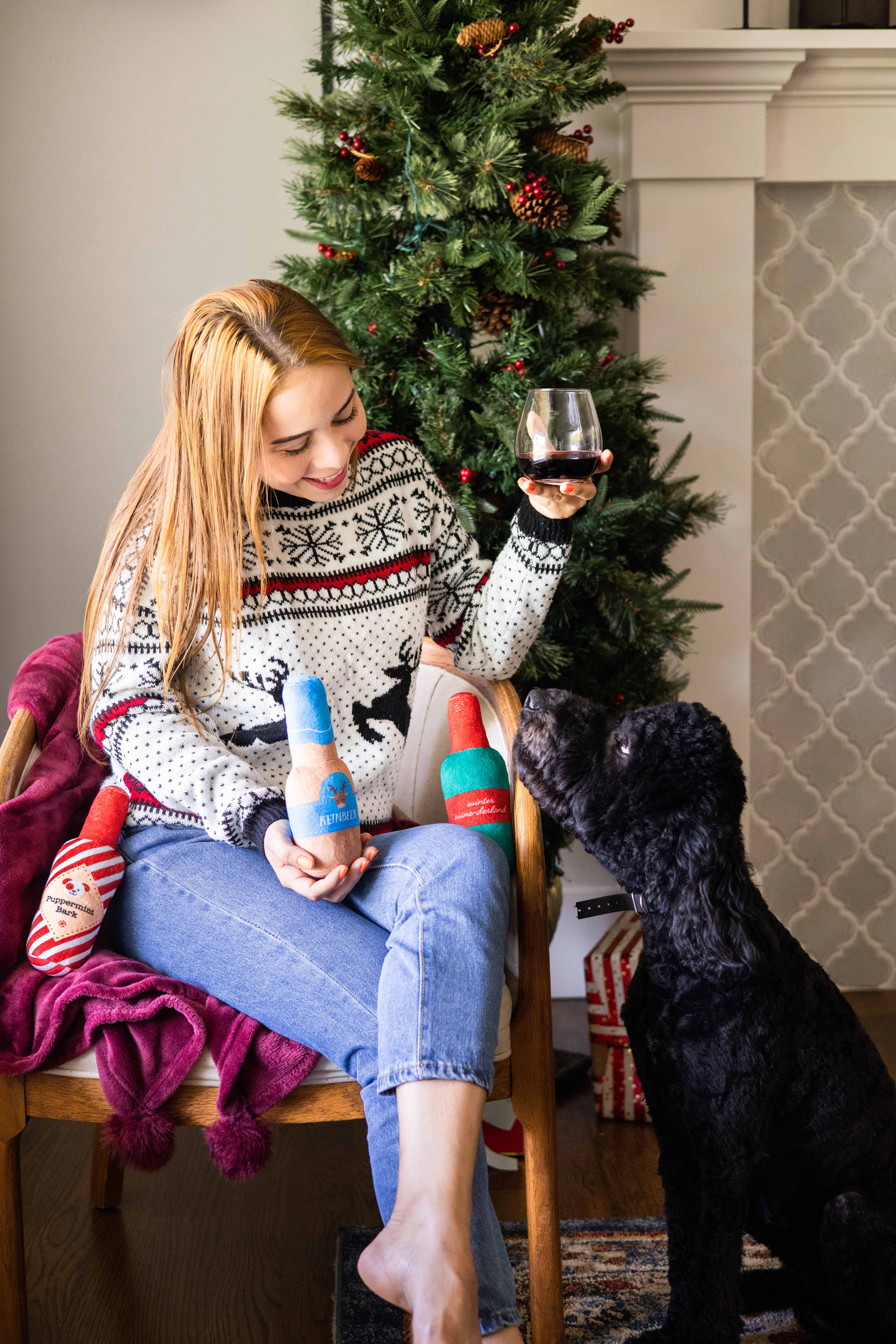 Pearhead - Wholesale Pet Plush Toy - Dog - Holiday Spirits Christmas Dog Toys, Set of 32