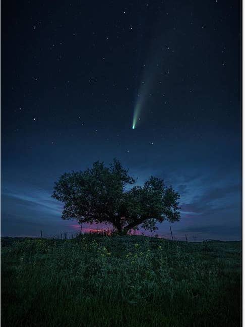 Brokenhearted - Canvas Print for wholesale by HomeGroen Photography