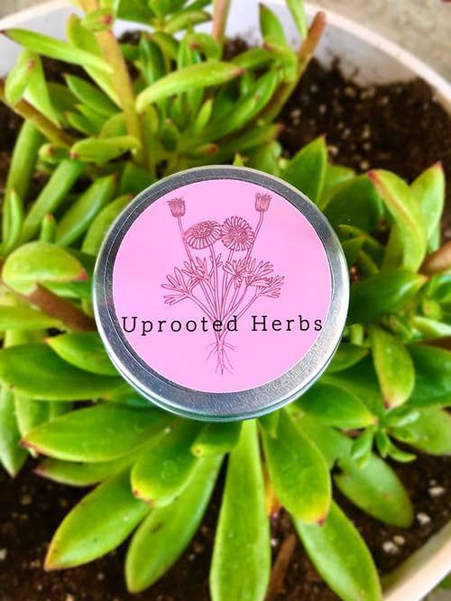 Bite & Sting Soothing Salve (1 oz.) for wholesale by Uprooted Herbs