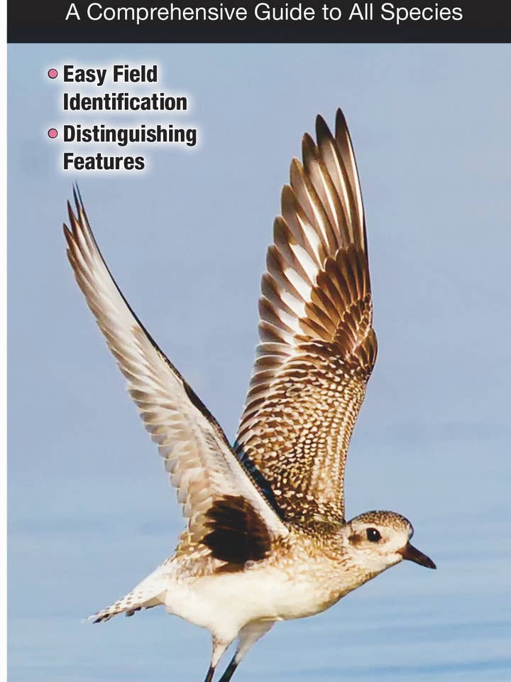 Shorebirds of North America for wholesale by Quick Reference Publishing, Inc