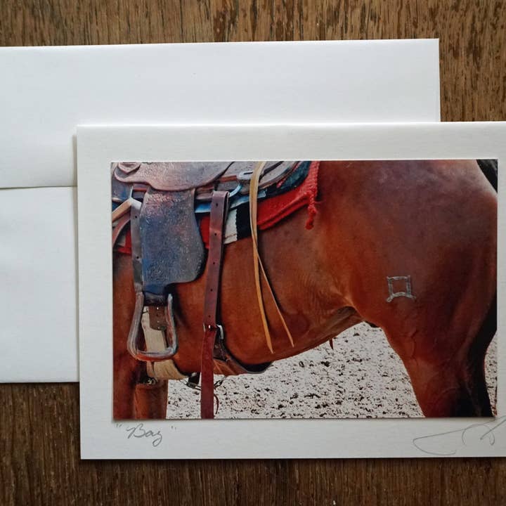 Bay Horse - Everyday Greeting Card Handmade for wholesale by Ann Woodall Studios