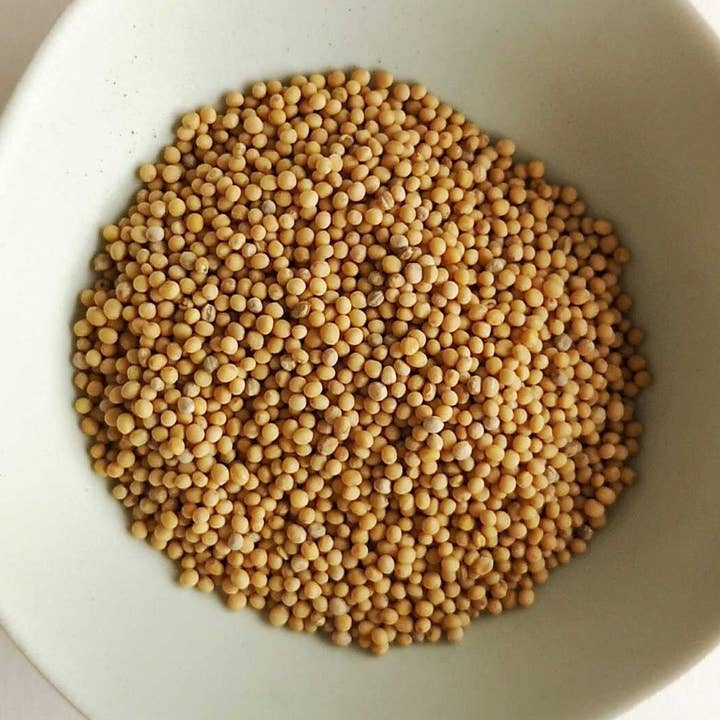 Blonde mustard (seeds) BIO, 500gr (bulk) for wholesale by Nomie, le goût des épices