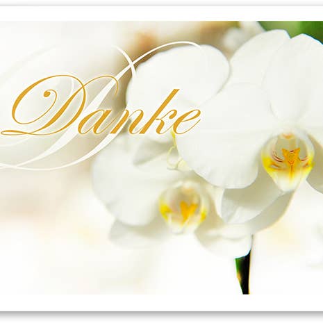 Yabué - Wholesale Thank You Card - Thank you/Greeting card/Orchide/ 419074