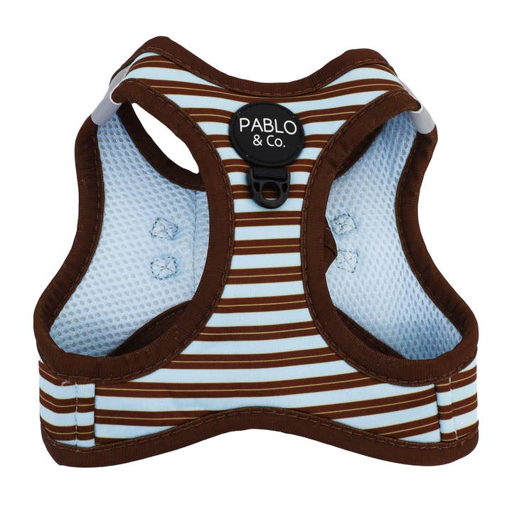 Domenica a Strisce: Pettorina per Gatti da Indossare per la vendita all'ingrosso da parte di Pablo & Co. Boutique