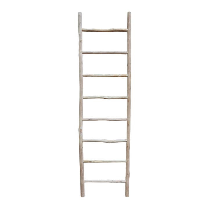 Paris Loft Inc - Wholesale Wall Mounted Shelf - Wooden Leaning Ladder Shelf7