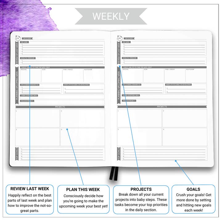 Panda Planner - Wholesale Planner - 6 Month Panda Pro Planners – Large Daily Planner in 3 Sections