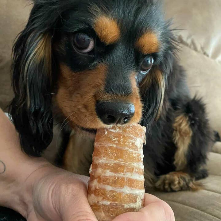 Naked Beasts, Inc. - Wholesale Pet Treats - Dog - Beef Trachea (Grass Fed & Finished)6