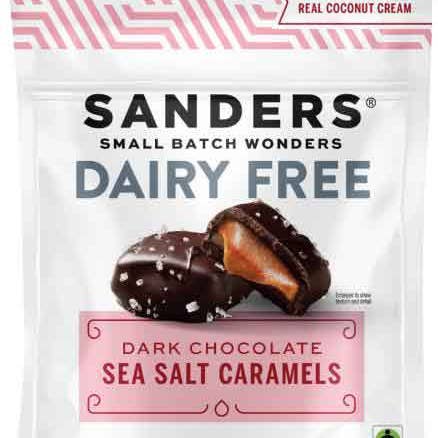 Hudson Meat Company - Wholesale Chocolate Covered Sweets - POUCH CRML DRK SSLT FAIRTRADE DAIRY FREE - SANDERS