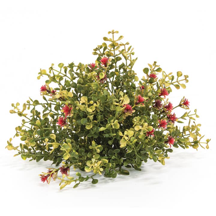 Ruby Fall Buds & Baby's Grass Half Sphere, 10" for wholesale by Saybrook Lane