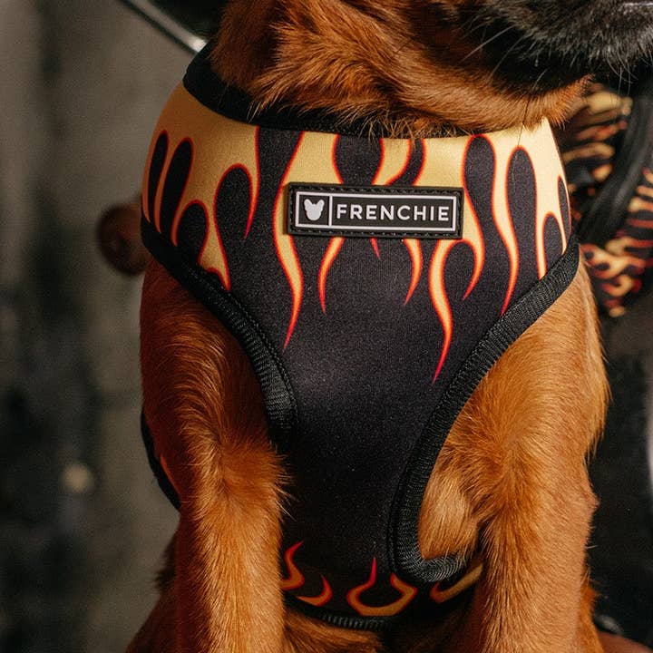 Frenchie Duo Reversible Harness - Flames (Orange) for wholesale by Frenchie