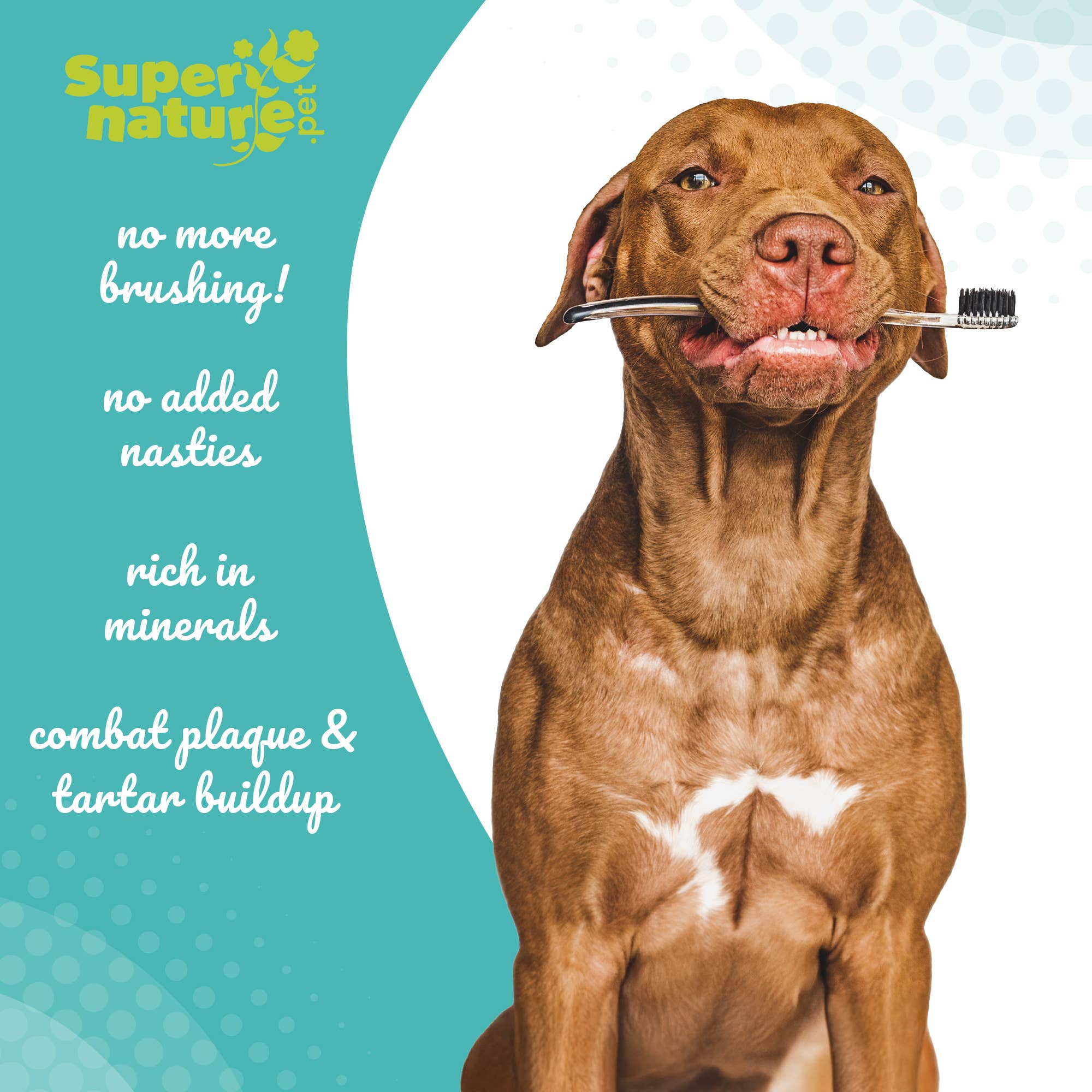 Natures Grub – wholesale Pet supplement – Dog – Supernature Plaque Remover | Natural Dental Care for Dogs4